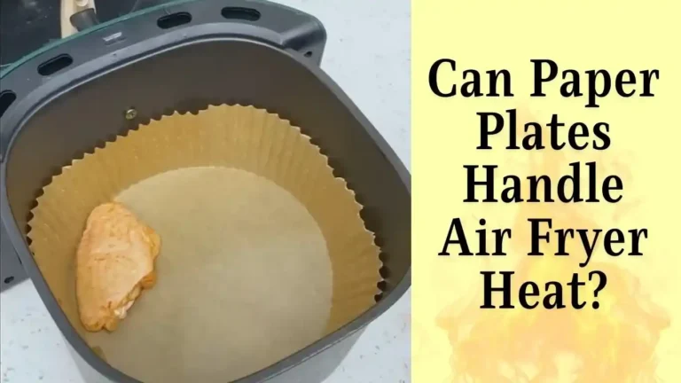 Can You Put a Paper Plate in an Air Fryer