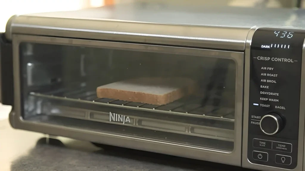 ninja sp101 review