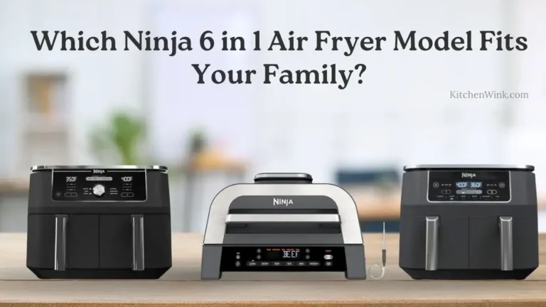 Ninja 6 in 1 Air Fryer Review